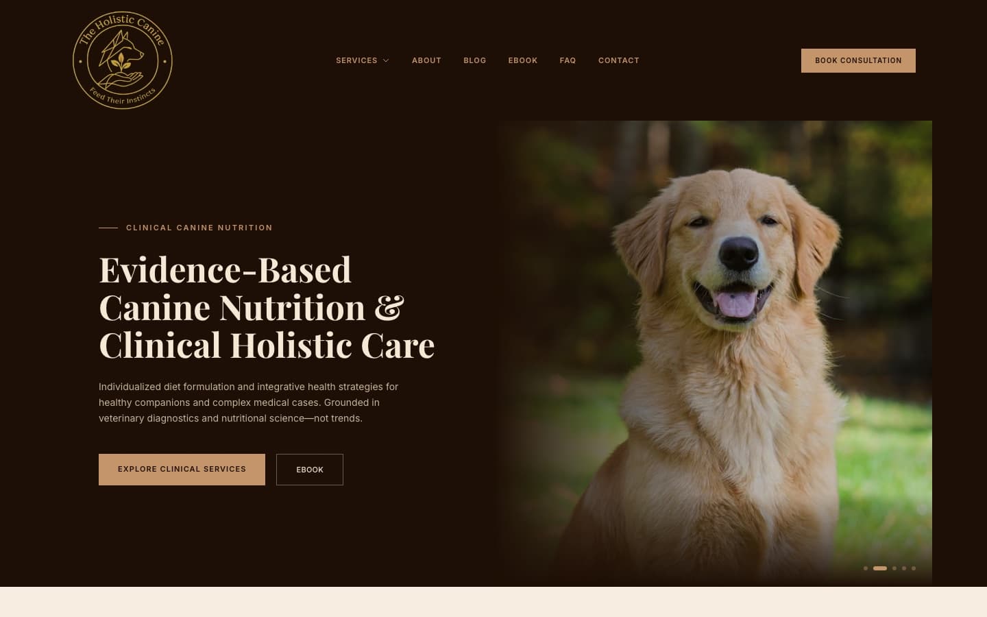 The Holistic Canine website homepage, designed by Faridi Marketing Group